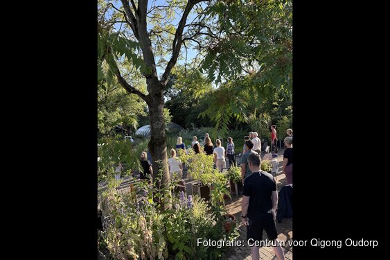 Centrum voor Qigong in Oudorp bestaat 1 jaar