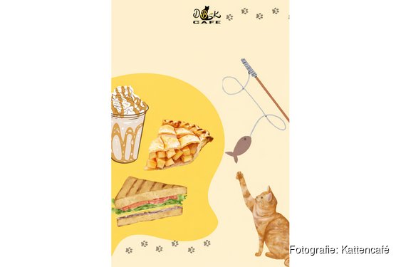 Diverse vacatures bij het Kattencafé