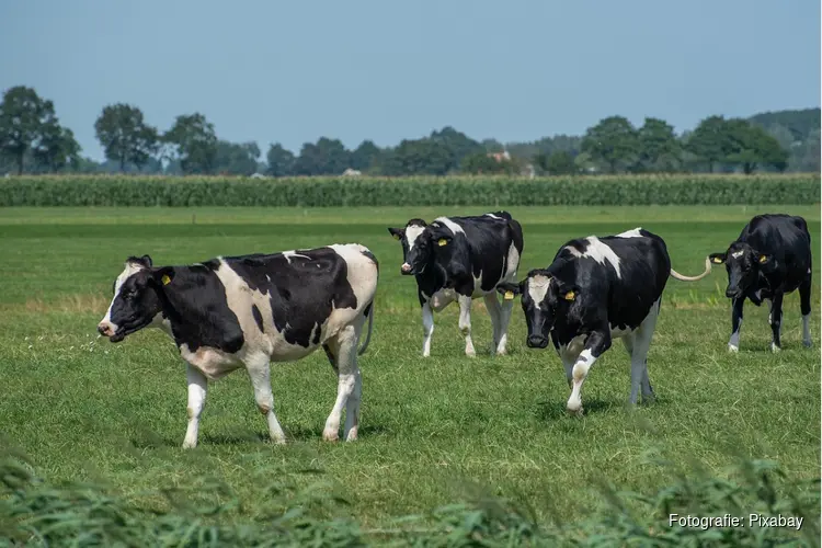 Noord-Holland monitort samen met boeren stikstofuitstoot