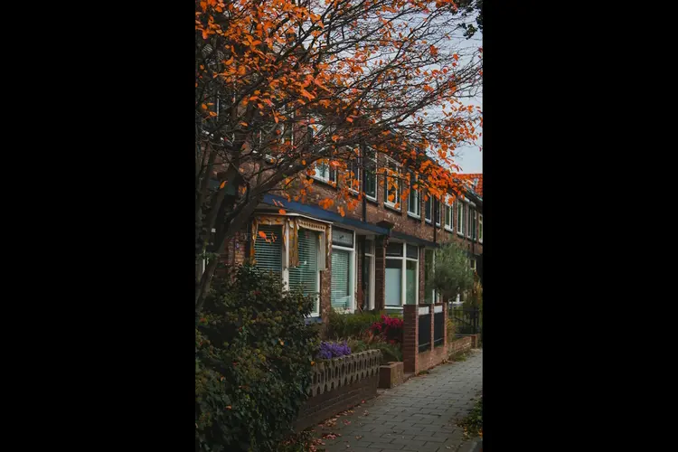 Beste Huurwoning Vinden – Top Vergelijking & Value for Money met Renthunter.nl