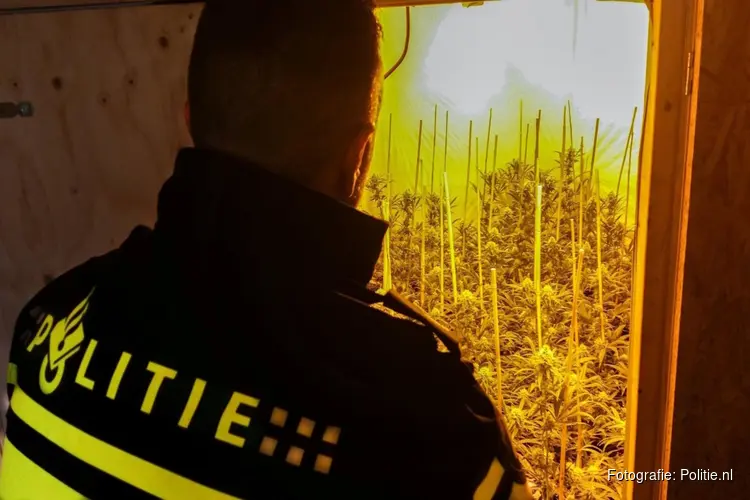 Politie ontdekt hennepkwekerij in schuur