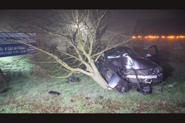 Automobilist belandt in voortuin van woning in Bergen