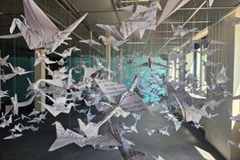 Alkmaar zoekt makers met impact!