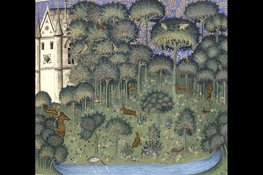 Lezing ‘ALLES GROEN’ bij Kunstuitleen Alkmaar: de verrassende geschiedenis van één kleur