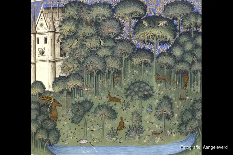 Lezing ‘ALLES GROEN’ bij Kunstuitleen Alkmaar: de verrassende geschiedenis van één kleur