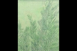 Lezing ‘ALLES GROEN’ bij Kunstuitleen Alkmaar: de verrassende geschiedenis van één kleur