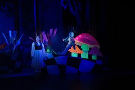 Alice in Wonderland komt naar Alkmaar