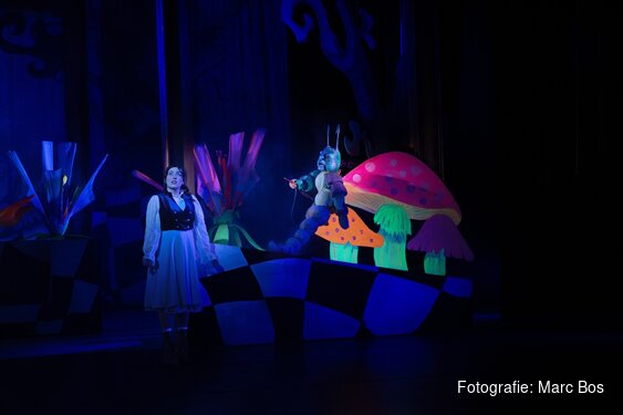 Alice in Wonderland komt naar Alkmaar