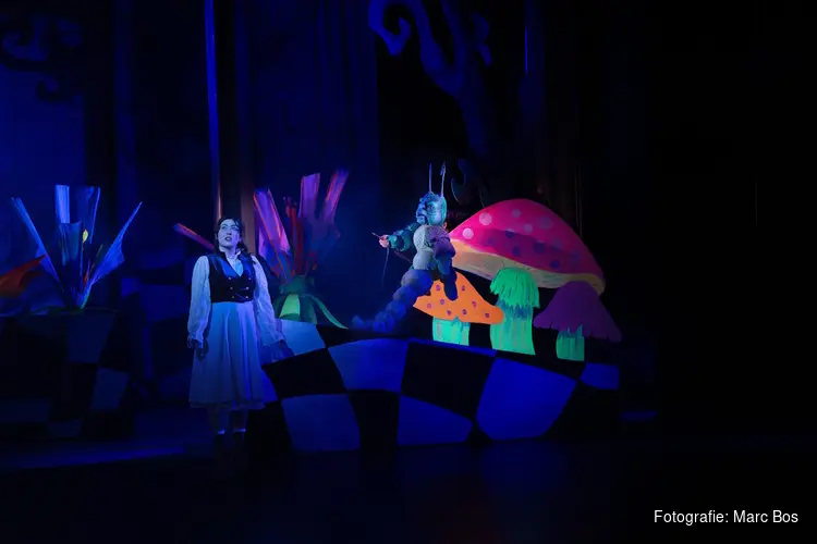 Alice in Wonderland komt naar Alkmaar