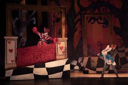 Alice in Wonderland komt naar Alkmaar