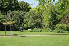 Slim groenbeheer in Alkmaar: van wijkplantsoen tot stadspark