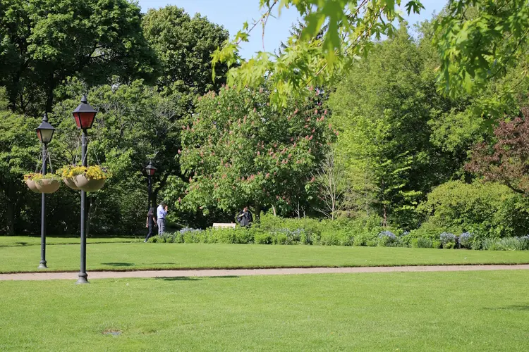 Slim groenbeheer in Alkmaar: van wijkplantsoen tot stadspark