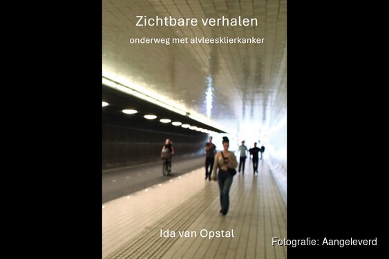 Boek Zichtbare verhalen door Ida van Opstal