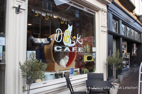 Het Digibeet & Katten Caf&eacute;: Een caf&eacute; met een missie