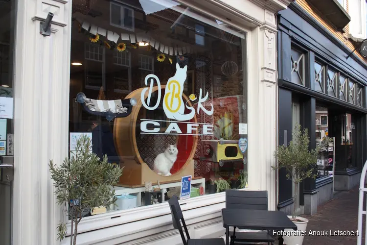 Het Digibeet & Katten Café: Een café met een missie