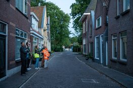 Gemeente Alkmaar brengt beschermde vogels en vleermuizen in kaart