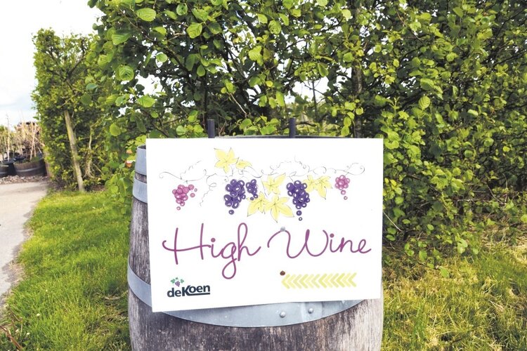 Wijndomein De Koen is klaar voor het nieuwe seizoen