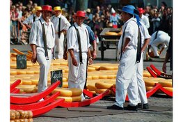 Status Quo dient eerste motie in: 'Bescherm het levend erfgoed van Alkmaar'