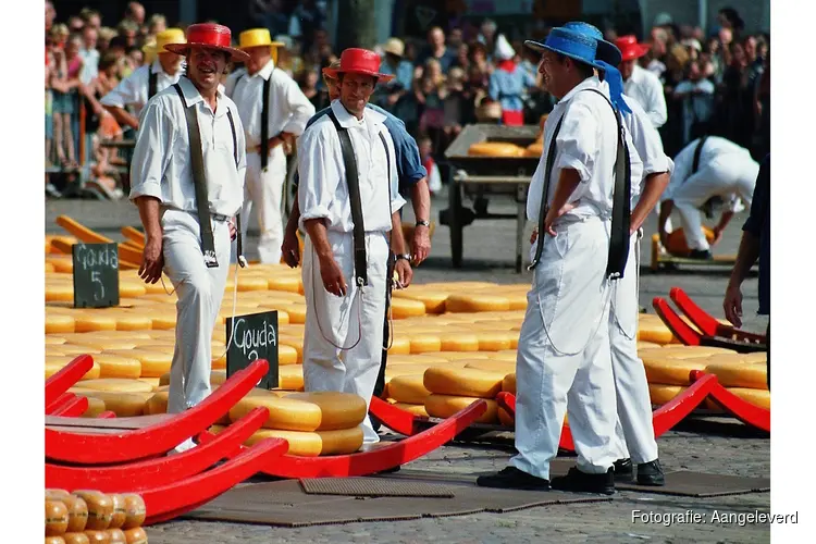 Status Quo dient eerste motie in: 'Bescherm het levend erfgoed van Alkmaar'