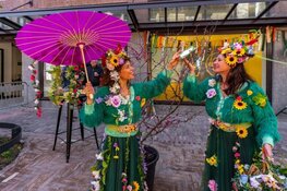 De nieuwe Laat-midden; groener, levendiger en klaar voor de toekomst