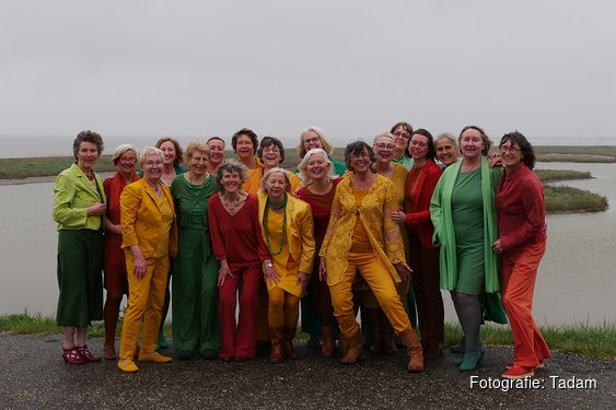 Wereldmuziek in de polder