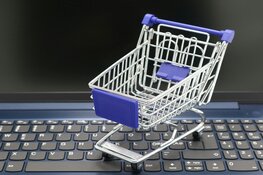 Waarom zijn online shop-oplossingen cruciaal?