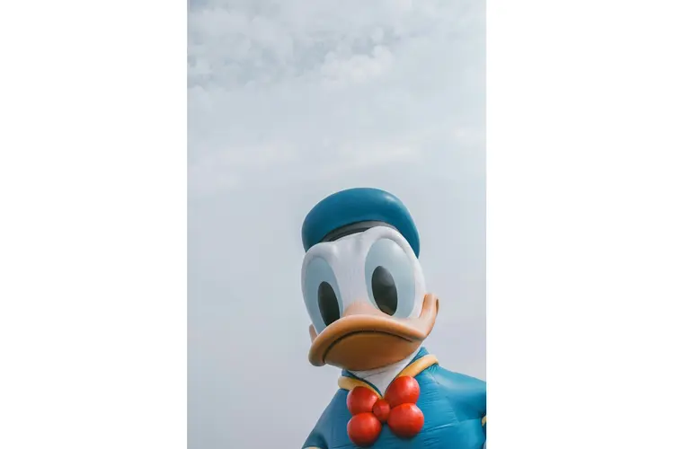 Op avontuur met Donald Duck Reis om de Wereld