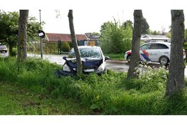 Auto tegen boom in Sint Pancras, bestuurder niet aangetroffen