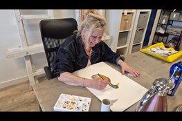 Van creatieve deelnemer naar vrijwilliger bij Sport-Z