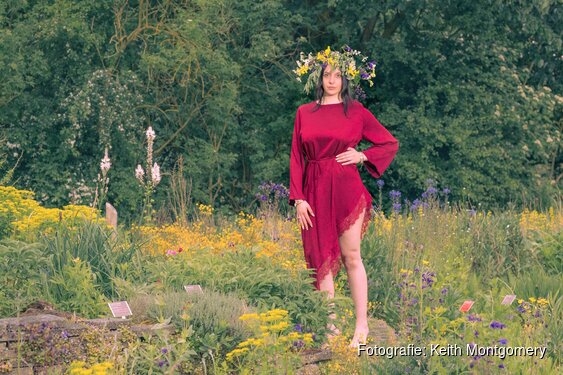 Eerste editie Midzomernacht in Hortus Alkmaar