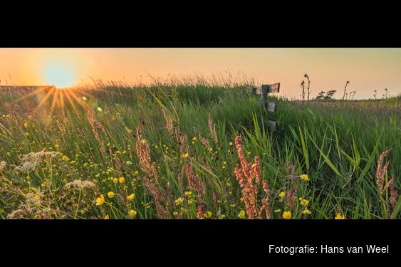 Vaartocht voor vroege vogels in de Eilandspolder