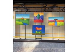 Kunstuitleen Alkmaar presenteert raamexpositie van Noni Plomp bij Jumbo Monique