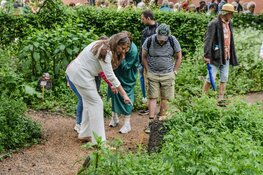 Hortus Alkmaar opent seizoen met drie kunstexposities