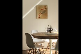 Van strak design tot warme sfeer: deze woonstijl groeit snel