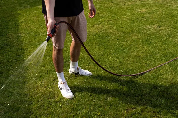 Een groene achtertuin met weinig onderhoud? Zo pak je het aan