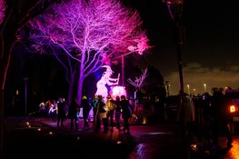 Inschrijving voor razend populaire Fjoertoer Egmond geopend