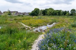 HHNK helpt mee aan klimaatbestendige bebouwde omgeving