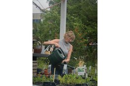 Ierse klanken brengen zomerse sfeer naar Hortus Alkmaar