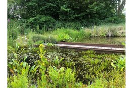 Ierse klanken brengen zomerse sfeer naar Hortus Alkmaar