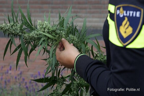 Hennepkwekerij ontdekt in woning Alkmaar