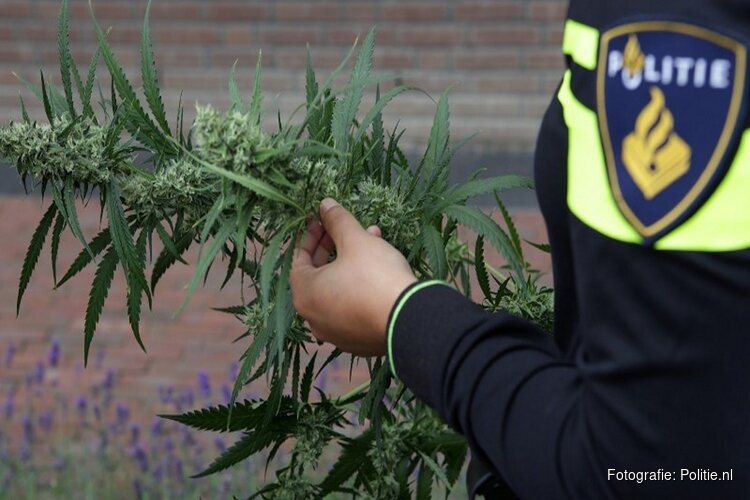 Hennepkwekerij ontdekt in woning Alkmaar