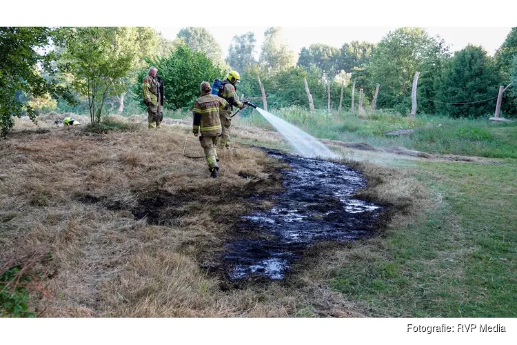 Gemaaid gras vliegt in brand in park Alkmaar