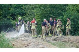 Gemaaid gras vliegt in brand in park Alkmaar