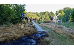 Gemaaid gras vliegt in brand in park Alkmaar