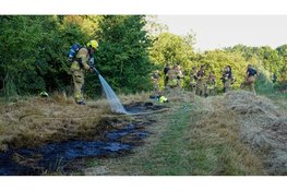 Gemaaid gras vliegt in brand in park Alkmaar