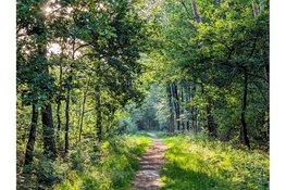 Nederland wandelland: van de duinen bij Alkmaar tot de Veluwe