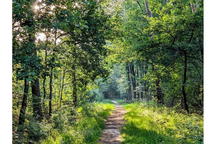 Nederland wandelland: van de duinen bij Alkmaar tot de Veluwe