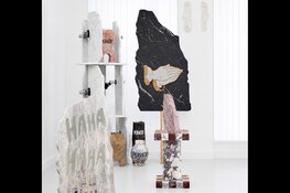 Kunstenaar Inderjeet Sandhu in Stedelijk Museum Alkmaar