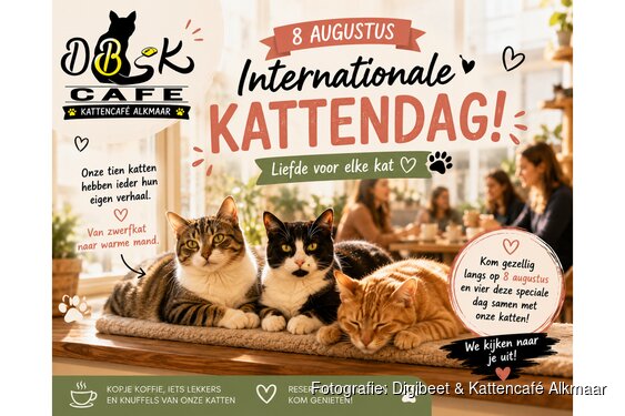 Vier op 8 augustus Internationale Kattendag bij Digibeet & Kattencafé Alkmaar