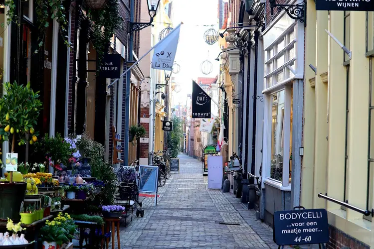 Zo zorg je dat jouw bedrijf online zichtbaar is in Alkmaar